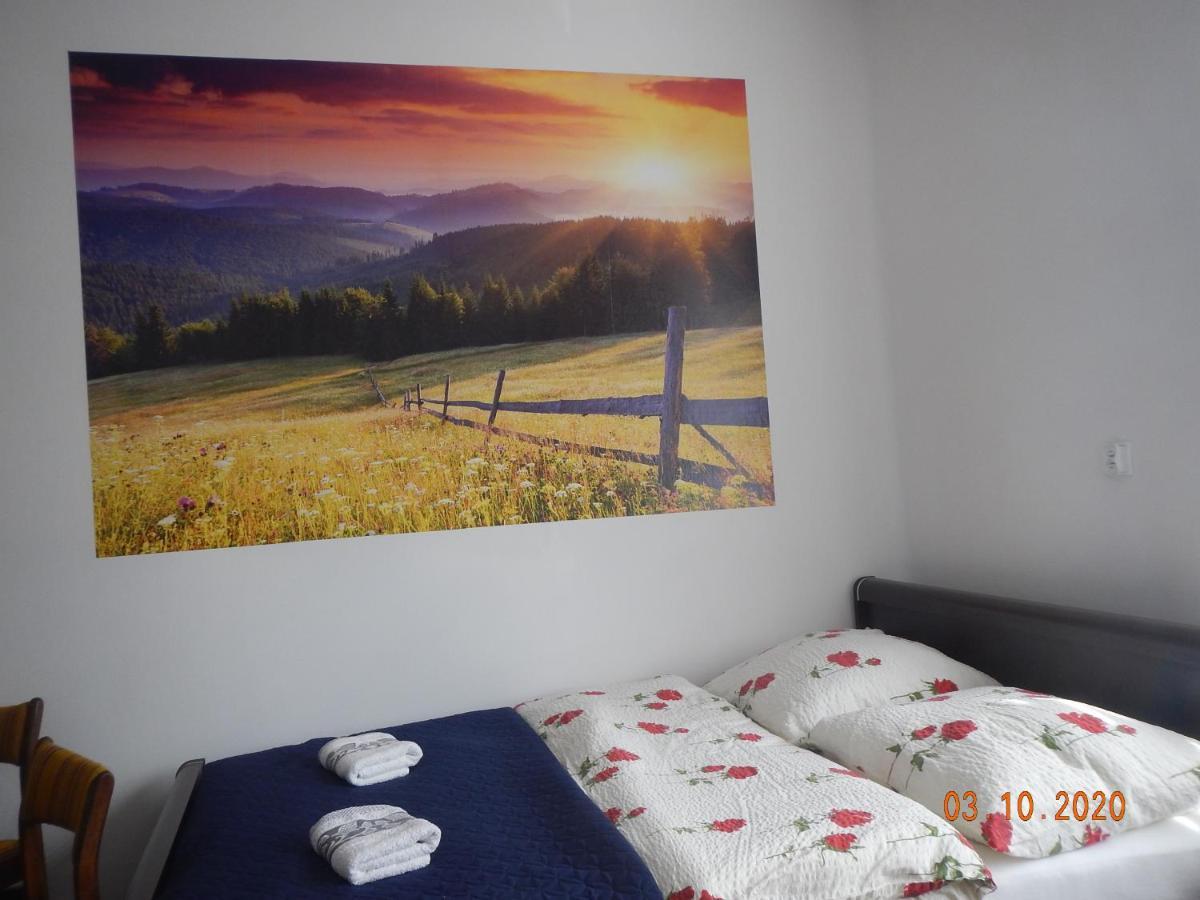 Apartament Providentia Zakopane Witkiewicza 3 Екстер'єр фото